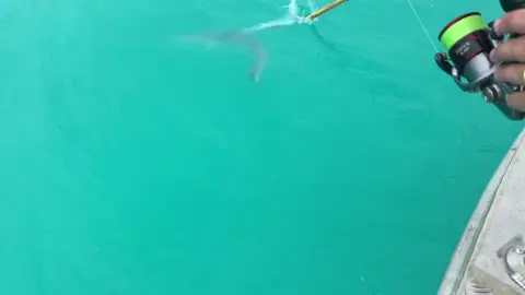 What a shot! #fish #fishing #jetreef #xyzbca #ItStartsOnTikTok