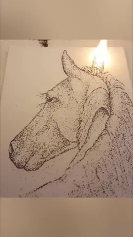 This horse is LIT! #Spotlight #horse #matches #fire