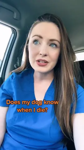 Do dogs know when people die? #hospice #hospicenurse #storytime #dogs