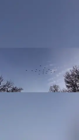 #39gripen #saab39gripen #jasgripen #jas39gripen #julgransflygning #julgransformation