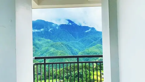 Ở những nơi như vậy chỉ cần hít 1 hơi thật sâu ta cũng cảm thấy bình yên ...🇻🇳❤️