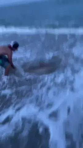 Like for full video. #sharks #fishing #sandtiger #sharkfishing #huge #release #lbi #beach