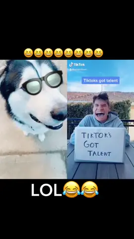 #duet with @lucasivkovic the last one is funny🤣🤣🤣#fyp #tiktok #foryoupage #trends #scc💚 #viral #tiktokdog #foryou