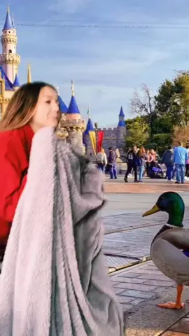 who can relate? 😂 #fyp #foryou #disney #disneyland #disneyworld #MyOrder