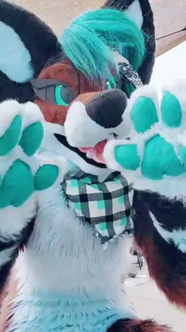thanks for the idea @ripple_effect805 #furry #furryfandom #fursuit #furry4life