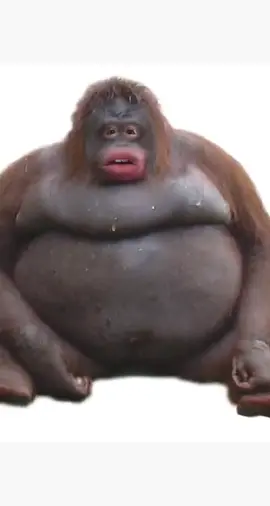 sometimes it be like that tho! #pov #truth #bodypositivity #snap
