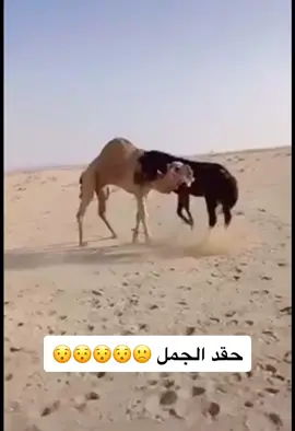 #دعمكم_وتشجيعكم_يهمني #حركة_الاكسبلور