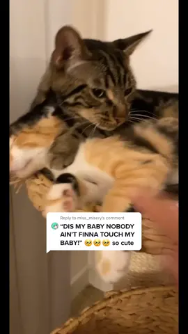 There you have it Reply to @miss_misery #fyp #foryou #foryoupage #catsoftiktok #ChemicalHearts #petstiktok #ChoresInThisHouse #duet