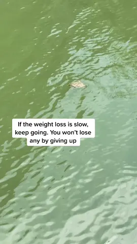 Turtle gang for life! #keto #lowcarb #weightloss #fatloss