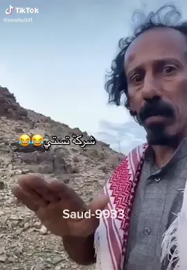 شركة تستي