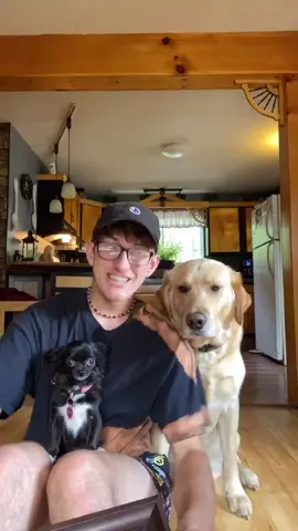 Reply to @pauloreantoquio AWKWARD PHYOTS 🤮😂 #foryou #foryoupage #feature #featureme #pets #dogs #tiktok #HomeCooking #WaitForTheGreats