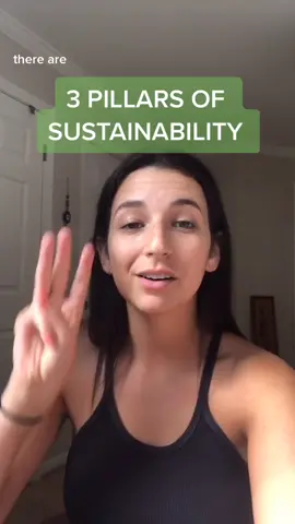 3 pillars of sustainability ✨part one✨ #givevolunteers #sustainablity #responsibletravel