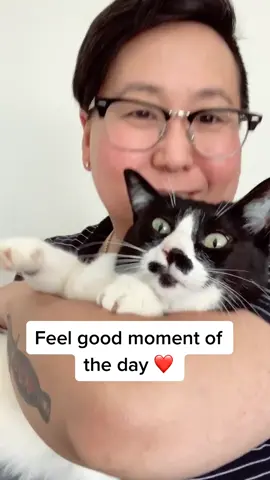 Love is ❤️ #FYp #catsoftiktok #cat #cute #MentalHealth #catlover #mentalhealthmatters #queertiktok #lesbiantiktok