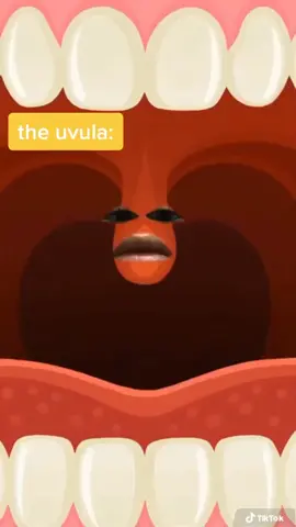 🤧🤧🤧🤧🤧🤧🤧🤧🤧 #foryou #fyp #WAP #funny #viral