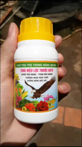 Nhiều ae chơi lan nhưng chưa chắc đã biết cái này#phanthuochoalan