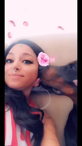 #DogPerson #doberman #dobermangang #dogmom #furbabies #dobermansoftiktok #fyp #foryou #viral #mysunshine #DogPerson