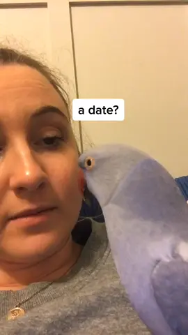 Bit rude #date #bird #birdsoftiktok #whatdoing #fyp #foryou #600k #australia #Love
