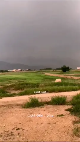 شاهدو مونتاج  شيله الا من يفارق ديرته جيزان #الحد_الجنوبي #asaif_saif #تيم_جازان #الحرث #تيم_hz #الخوبه #اكسبلور #جازان #تيك_توك_السعودية