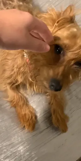 #fyp #TodayILearned #CoupledUp