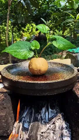 Do u think it's delicious?#food #foryou #delicious #foryoupage