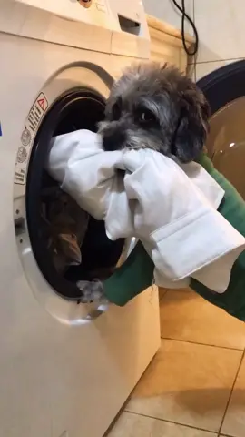 I love my teddy. He take care of me. Do you love it? Tell me in comments. #teddy #fyp #takecare