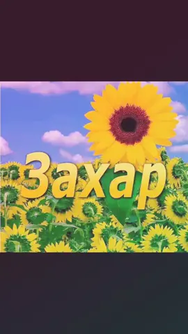 11#захар #сднёмрождения#поздравляюсднемрождения