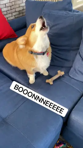 When you don’t want to share #VinylCheck #dogperson #trend #fyp #Mipan