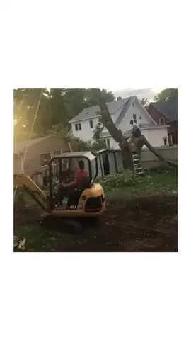 👉🏻 ещё БОЛЬШЕ видео в нашем инстаграме 👈🏻 #спецтехника #техника #транспорт #экскаватор #дерево #фэйл #юмор