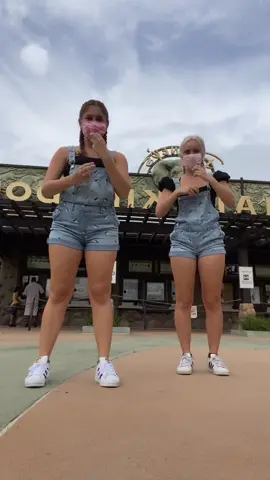 your 3rd @ owes you a disney trip next summer! @maddie.hoytt #disneyworld #waltdisneyworld #animalkingdom 💚