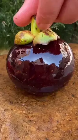 Кто скажет, что это за красота?)