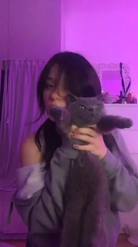 long cat 😎✌🏼😳#foryou#cat#catsoftiktok#kitten#fy#fyp#austria#foryoupage
