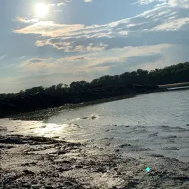 Caught slippin on the bank🔥 youtube in bio #foryou #foryoupage #yourpage #bowfishing #bowfish #fishing #fish #like #river #hunting #nature #you #lake