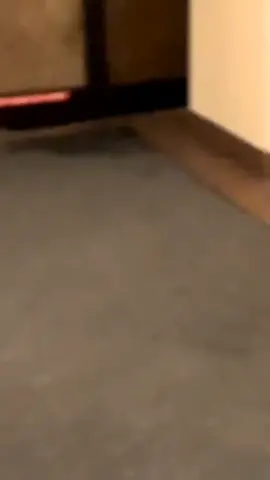 madison evans peed in the lobby in myrtle 😭😭😭 @madi.evans9 #greenscreenvideo #fyp #ProveWhatsPossible #AirheadsDitchChallenge