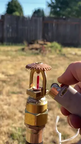 This is how an upright sprinkler head works. It’s meant to deflect water downward over the heated area. #sprinklerfitter #sprinkler #foryoupage #fyp
