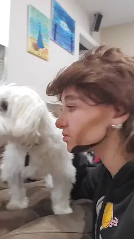 When Timmy T trys this #OnlineSchool #ProveWhatsPossible #fyp #foryoupage #tiktok #timotheechalamet