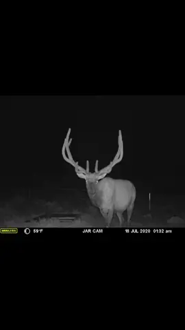 Guesses on score of this 5x6? #hunt #forhunters #fyp