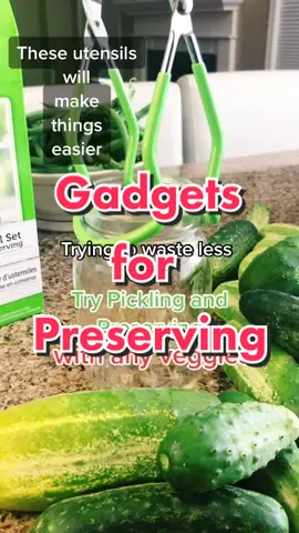 Going to #piktok? You’ll need these tools for  #preserving #picklingveggies #zerowaste #kitchengadgets #LearnOnTikTok #jenesaisquoidaily