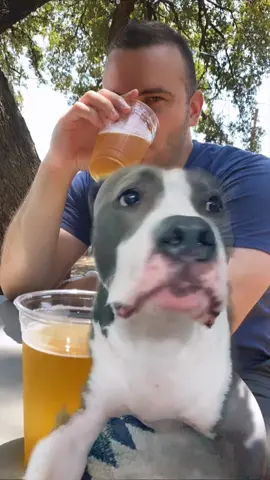 I got Mac right after college, we moved to Texas, we met Dave...and 6 years later I’m the third wheel. #dogsoftiktok #fyp #foryoupage #pitbull