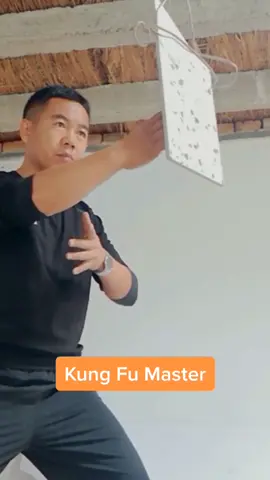 One inch punch!went to learn?#kungfu #sport #master #fyp #foryoupage @tiktok