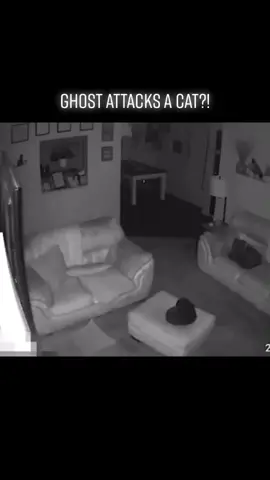 Ghost attacks a cat?! 😱 #ghost #cat #catlover #fy #fyp #scary #creepy #paranormal