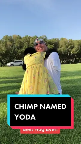 Monkeying around in #Dubai with with my girl #yoda! #fyp #monkey #Love #chimp #TikTokFashionMonth #follow