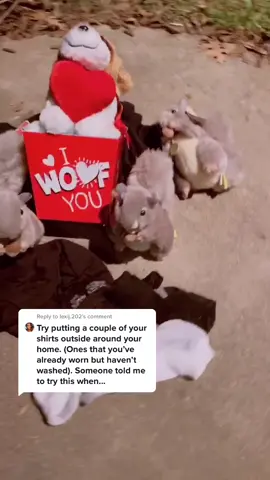 Reply to @lexij.202 i miss my dog, hope this works 🙏 #bestfriend #dog #dogsoftiktok