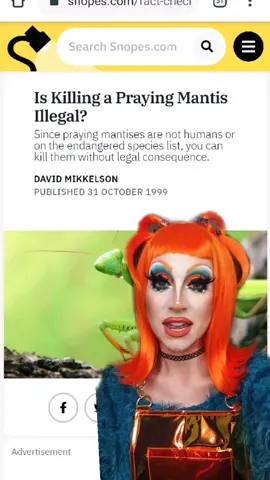 Big Mantis is pushing pro-mantis propaganda to Americans, specifically in New Jersey #conspiracy #conspiracytheories #conspiracytiktok #greenscreen