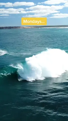 @anthony_walsh_ on rinse and repeat. #spooktember #provewhatspossible #wipeout #surfing #fyp Video: Kane Overall