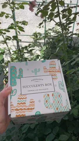 subscription box sign up #foryoupage #fyp #plantsoftiktok #plantlover #succulents #plantsmakepeoplehappy #succulentsbox #plantstuff #planttherapy