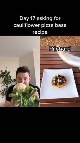 ✨ Instructions unclear we need this recipe @amospearce ✨ #dogsoftiktok #amos #pizza #cauliflower #doggo #dogfood #duet #rawfeddog #DidYouKnow