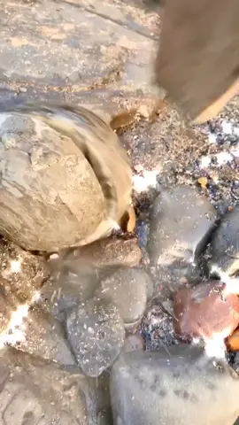 Sadly not every stone can contain a stunning fossil! 😭🦖🙀 Check my other videos to see stones that did! 🤩 #fossil #fossils #wow #yourfeed #yourpage