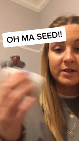 Why do I spend money on bird toys when this is what he will play with?!#australia #birdsoftiktok #fyp #toy