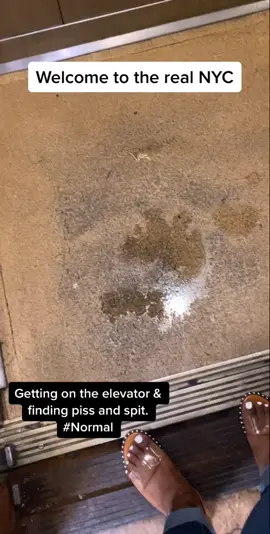 #nyc #nycprojects #fyp #xyzbca