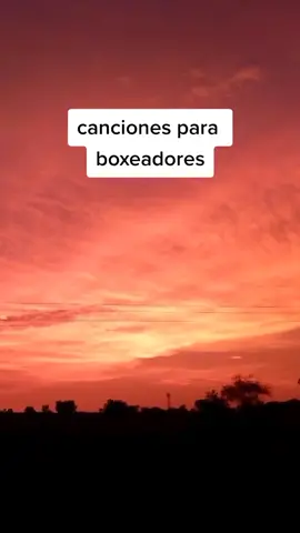espero que te gusten 💪❤️#training #boxeo#workoutbox#boxer#kick boxing#musictraining#gym#music#sond#traininghard#muaythai#kickboxing